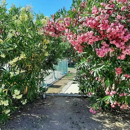 Hébergement de vacances Orasi Casa Fiurita
