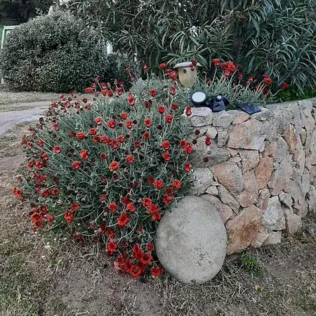 Feriehus Orasi Casa Fiurita