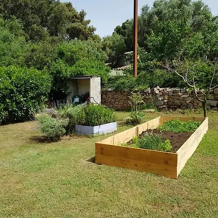 Orasi Casa Fiurita *