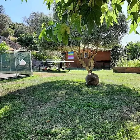 Orasi Casa Fiurita Feriehus Sartène