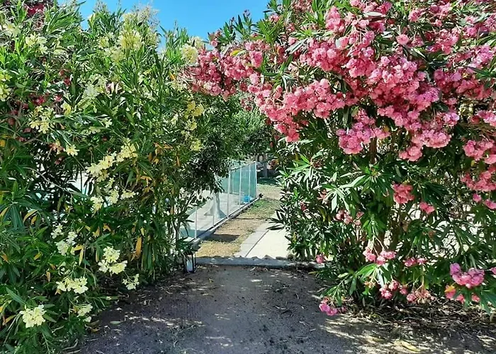 Vakantiehuis Orasi Casa Fiurita