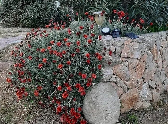 Vakantiehuis Orasi Casa Fiurita