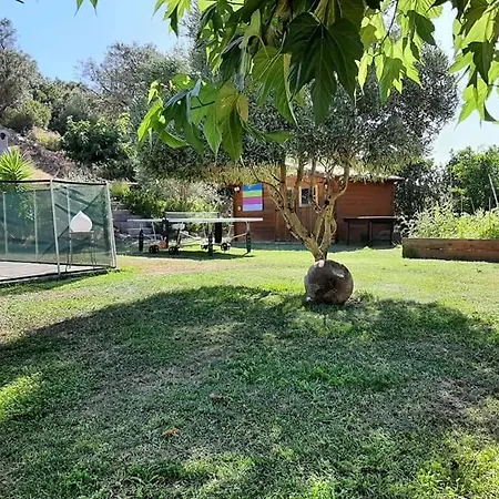 Orasi Casa Fiurita Holiday home Sartene (Corsica)