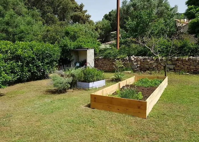 Orasi Casa Fiurita *